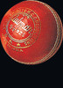 Gunn & Moore Club Man Red Cricket Ball