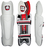 SS Dragon Wicket Keeping Pads