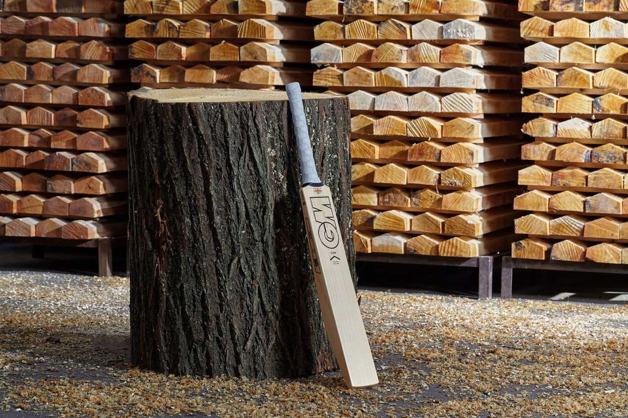 James Vince Player Edition DXM Cricket Bat 