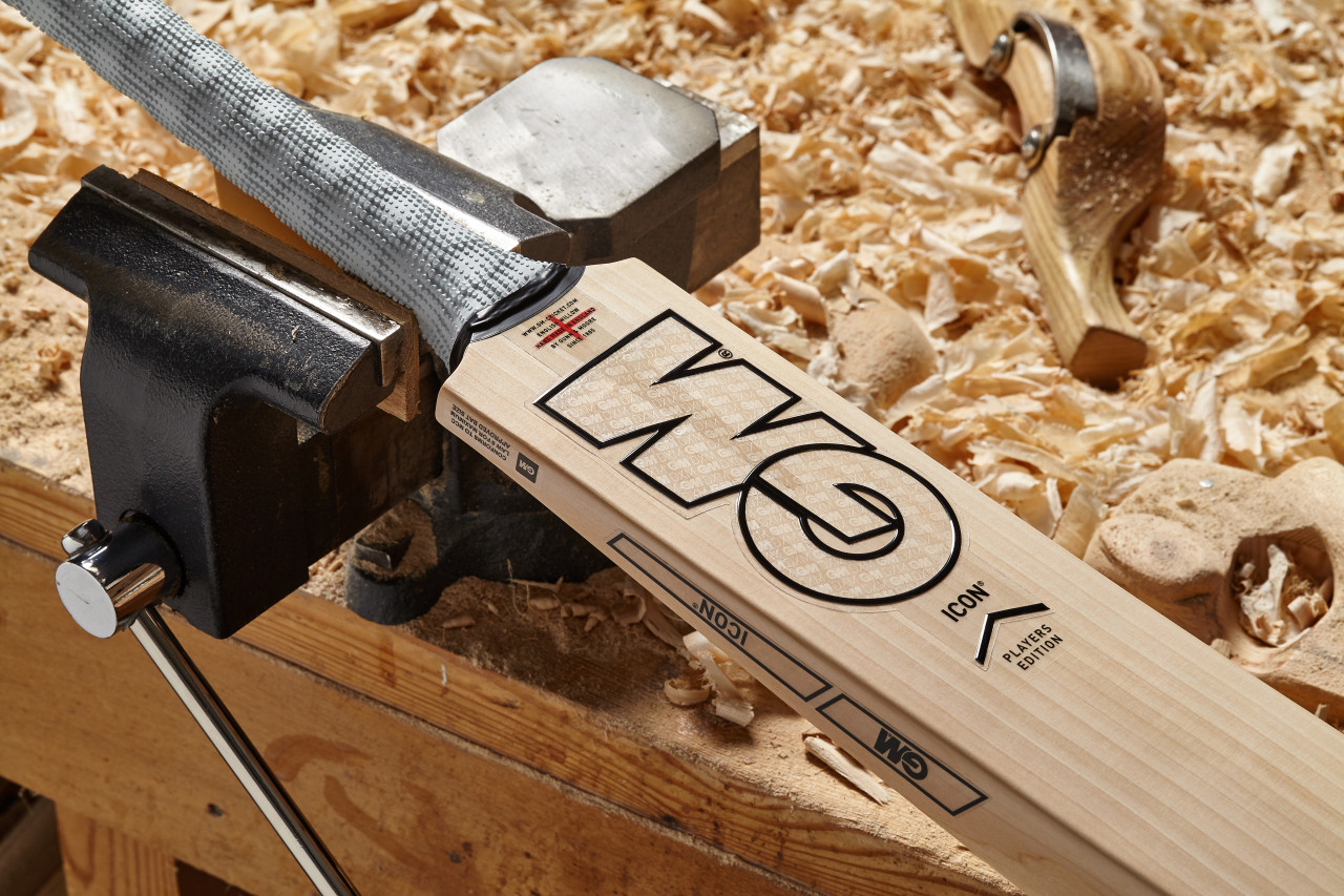 James Vince Player Edition DXM Cricket Bat 