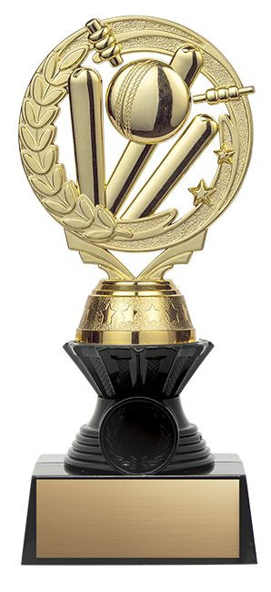 Gold Cricket Trophy - 8.5 inch
