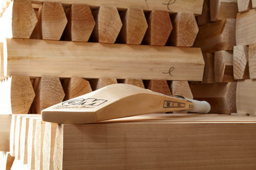 James Vince Player Edition DXM Cricket Bat 