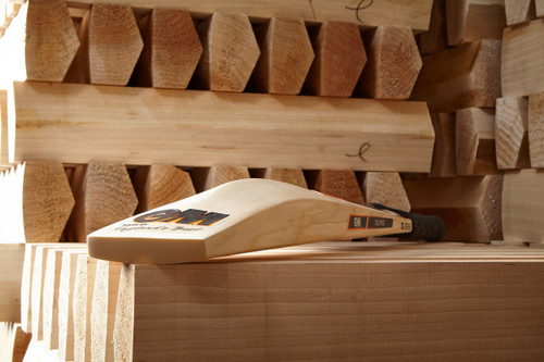 Dawid Malan Player Edition DXM Cricket Bat 