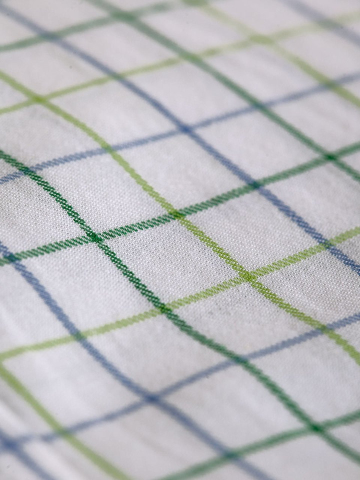 Men's Green And White Tattersall Check Close Up