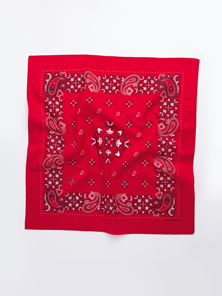 Red Paisley Cotton Neckerchief