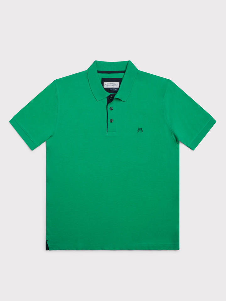 Mens Mint Striped Polo Shirt  Flat
