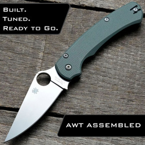 Spyderco Para Military 2 Lightweight Knife + AWT Aggressive Agent SKINNY Scales