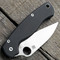 Spyderco Para Military 2 Scales – Aggressive Agent Series – Clip Side Liner Delete – Anodized