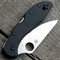 Spyderco Delica 4 Scales - Aggressive Agent Milling - Linerless - Anodized