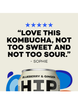 Hip Pop Kombucha Blueberry & Ginger - 12 x 330ml