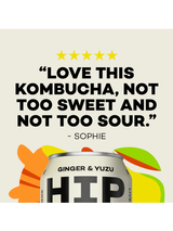 Hip Pop Kombucha Ginger & Yuzu - 12 x 330ml