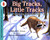 Big Tracks Little Tracks: Following Animals