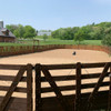 Solid Bottom Panel Arena