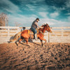 Young horse being ridden in wood round pen with sloped sides