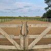 Outdoor riding arena wooden fence gate