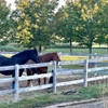 White Oak Fencing Material Package