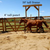 Wooden round pen for horse training
