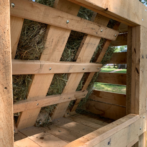 slow horse feeder