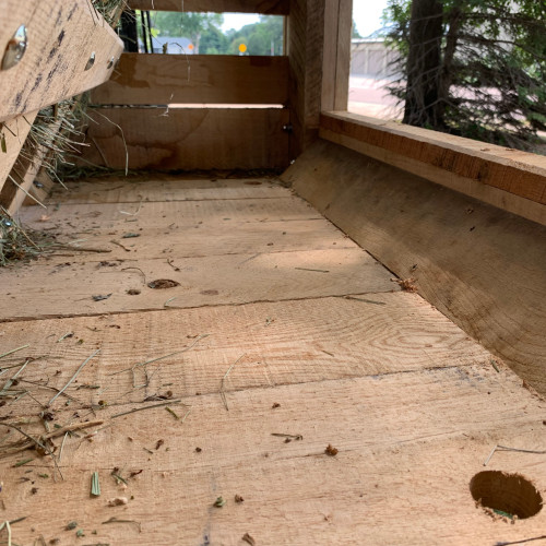 horse feeder with feed bunk