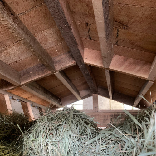 horse feeder with roof