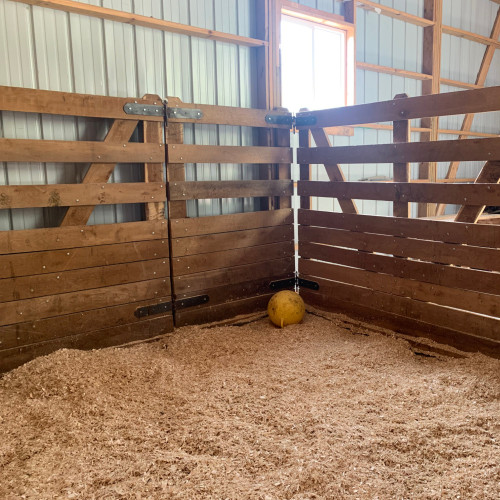 Extra Tall Complete Cowboy Stall Extra Tall Complete Cowboy Stall