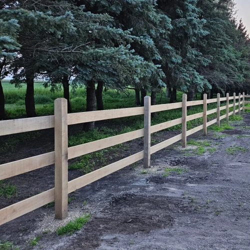 3 rail white oak fenceline