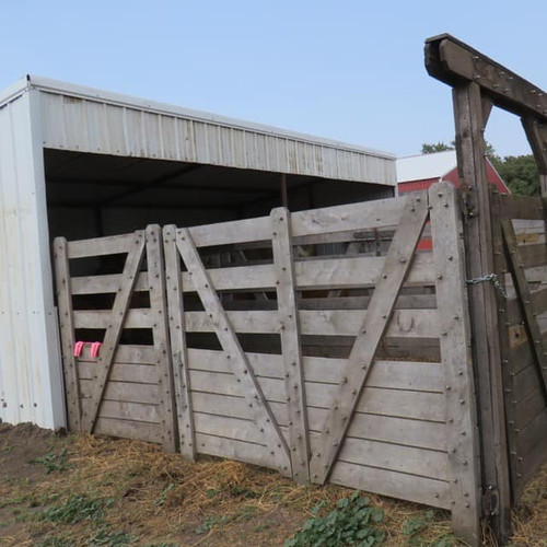 solid bottom panel paddocks