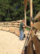 The gate is set at a 90* angle from the ground and has special brackets to connect to the sloped side panels.