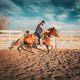 Young horse being ridden in wood round pen with sloped sides