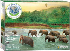 A Eurographics puzzle titled "Rainforest" of a herd of elephants crossing a river that cuts across a lush rainforest. The elephants are various shades of brown. A Eurographics puzzle titled "Rainforest" of a herd of elephants crossing a river that cuts across a lush rainforest. The elephants are various shades of brown.