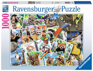Puzzle box featuring a depiction of various pictures of wild animals in picturesque poses on a wooden table. The table also has a travelers hat, notebook, camera, and various other memorabilia. Puzzle box featuring a depiction of various pictures of wild animals in picturesque poses on a wooden table. The table also has a travelers hat, notebook, camera, and various other memorabilia.