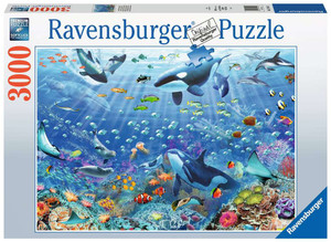 Puzzle box featuring a depiction of a bustling coral reef. Many aquatic animals are swimming around the reef. Puzzle box featuring a depiction of a bustling coral reef. Many aquatic animals are swimming around the reef.