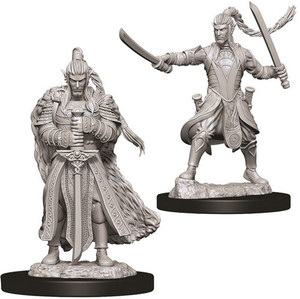 Two unpainted Male Elf Paladin miniatures on a white background. The one on the left is wielding a single sword and the one on the right is dual wielding swords.
