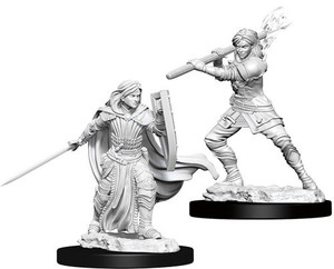 Two unpainted Female Human Paladin miniatures on a white background. The one on the left is wielding a sword and shield and the one on the right is wielding an axe.