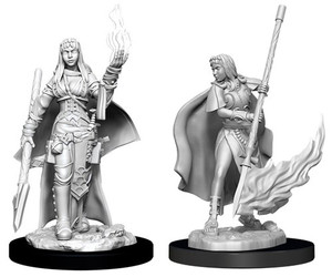 Two unpainted Female Human Oracle miniatures with a white background. The one on the left is casting a spell and the the one on the right is flourishing their spear. Two unpainted Female Human Oracle miniatures with a white background. The one on the left is casting a spell and the the one on the right is flourishing their spear.