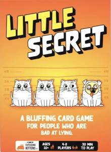 A board game titled "Little Secret" in large, bubble font across the top.  The first word is yellow, and the second is white.  The art below features a criminal line-up of three grey tabby cats and a pug dressed as a cat.  The background is bright orange.
