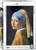 A Eurographics puzzle of the painting "Girl with the Pearl Earring" by Jan Vermeer.  The painting's subject is a girl with, you guessed it, a pearl earring.  Her skin is fair, eyes dark, and head is wrapped in a blue and beige scarf.  She wears a high-collared, golden garment with a white undergarment.  Her lips are posed slightly parted as she looks at the audience over her shoulder.  The background is a simple, dark contrast that makes her visage the sole focus.