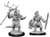 An unpainted Lizardfolk and Lizardfolk Shaman miniature on a white background. The miniature on the left is wielding a staff and the one on the right is wielding a shield and spear.