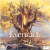 A board game titled "Evenfall" that features a gigantic tree with golden leaves and an opening large enough for people to gather inside of it. Racing their way on arcane levitating platforms towards the tree are wizards, each with colorful robes that represent their faction. A board game titled "Evenfall" that features a gigantic tree with golden leaves and an opening large enough for people to gather inside of it. Racing their way on arcane levitating platforms towards the tree are wizards, each with colorful robes that represent their faction.