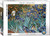 The image shows the box of a puzzle featuring the piece “Irises” by Vincent Van Gogh. The artwork showcases a vibrant array of blue and white irises against a complex background of earth tones and greenery. The scene is filled with rich, detailed brushwork typical of van Gogh's style. The bottom left has the number '1000' indicating the number of pieces in the puzzle. Along the bottom edge, the company logo reads "EUROGRAPHICS PUZZLES."  A blue badge in the lower right corner indicates the puzzle is an officially licensed reproduction of museum quality.