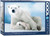 The image captures a polar bear parent and its baby. The polar bear and cub are resting on ice, with the cub nestled against the larger bear. The background of the image is a serene blend of soft blues, representing an arctic sky. The title, "Polar Bear & Baby" is printed in white on blue background along the left hand edge. Along the bottom, the company logo reads "EUROGRAPHICS PUZZLES" and the number ‘1000’ after it indicates the puzzle piece count.