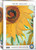 The image shows a puzzle box featuring the piece “Twelve Sunflowers” by Vincent Van Gogh. The image displays a close-up of the sunflowers, highlighting their rich, textured brushstrokes. The sunflower petals are painted in vibrant yellows and oranges, with a dark, textured center rendered in deep red and black. The background is a mix of soft greens and light blues, giving a contrasting backdrop to the flowers. Along the top is printed the collection name, “Fine Arts.” The bottom left has the number '1000' indicating the number of pieces in the puzzle. Along the bottom edge, the company logo reads "EUROGRAPHICS PUZZLES."  A blue badge in the lower right corner indicates the puzzle is an officially licensed reproduction of museum quality.