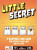A board game titled "Little Secret" in large, bubble font across the top.  The first word is yellow, and the second is white.  The art below features a criminal line-up of three grey tabby cats and a pug dressed as a cat.  The background is bright orange.