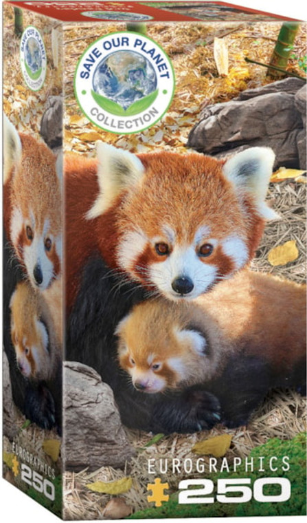 A puzzle featuring a circular logo titled "Save Our Planet" in the upper lefthand corner of the front of the box, the Eurographics logo at the bottom, and with the piece count '250' below that.  Across the whole of the box is what the finished puzzle looks like: a photograph of a parent and adolescent red panda cuddled up on a woodchip and leaf-covered ground.