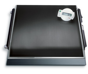 Seca 675 Electronic Platform Bariatric Scales Seca 675 Electronic Platform Bariatric Scales