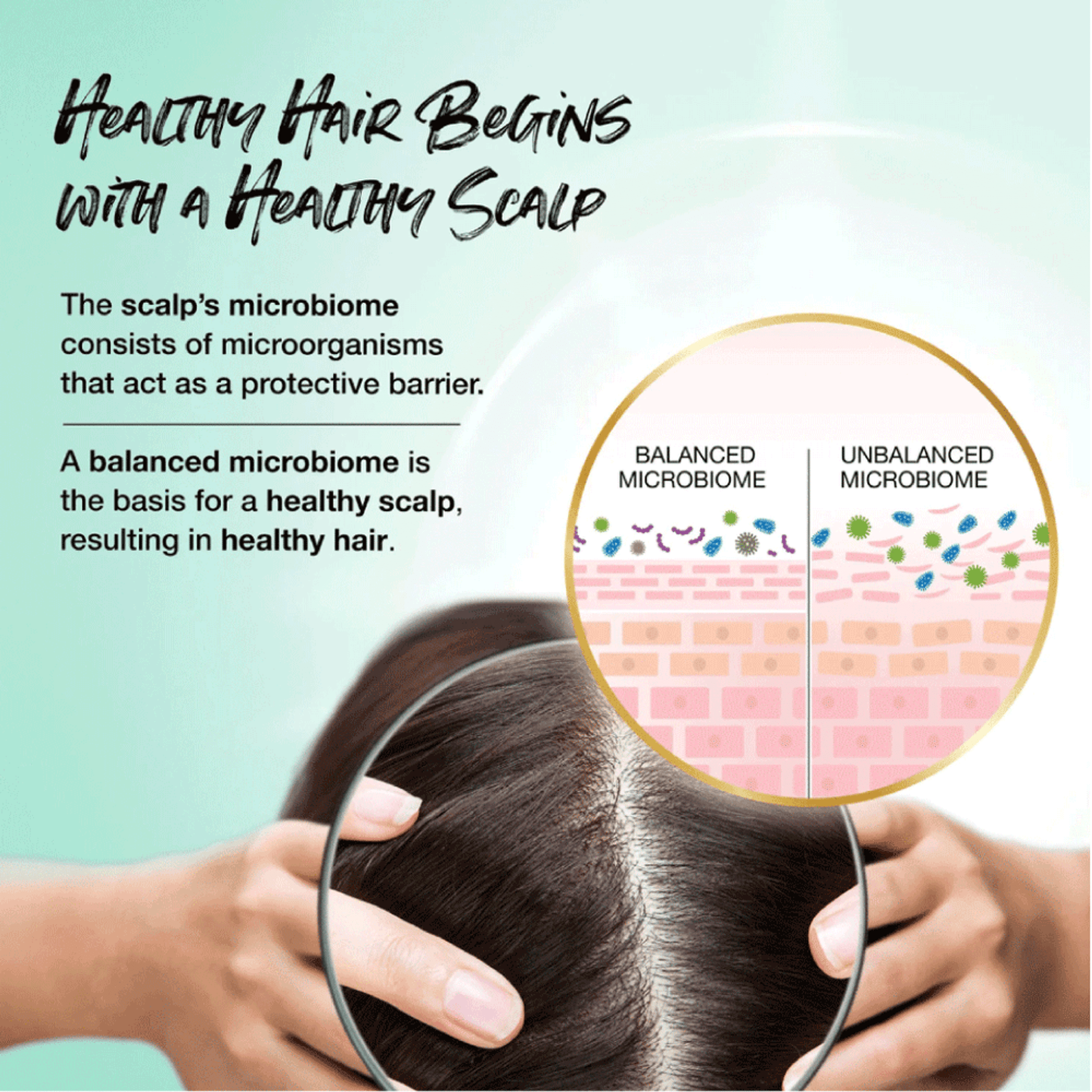 Biotera Ultra Moisturizing Shampoo replenishes the hair. Biotera is Microbiome Friendly certified. For a healthy scalp, resulting in healthy hair use Biotera that is proven to preserve the delicate balance of the scalp's Micriobiome. 