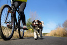 Bike Tow Leash - Yellow