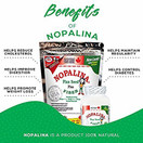 Nopalina Flax Seed Plus FIBER 32OZ (2LB) With Shaker