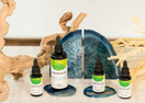 Oceans Alive Pure Phytoplankton- Think + Energy- Ultimate Superfood- Like Rocket Fuel For Your Cells Contaminate Free, 30ml
