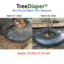 Smart Tree Watering Bag - AUTO REFILLS WITH RAIN and Slow Releases As Plant Needs - New Water Absorption Slow Release Technology Prevents Over and Under Watering - Large Tree Diaper 36" Ring For Trees